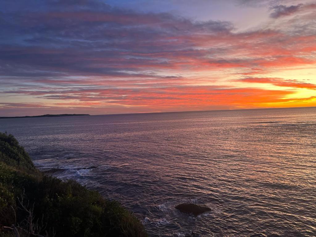 Ocean Front Apartment Cronulla Exteriér fotografie